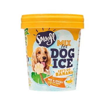 Crème glacée pour chiens
