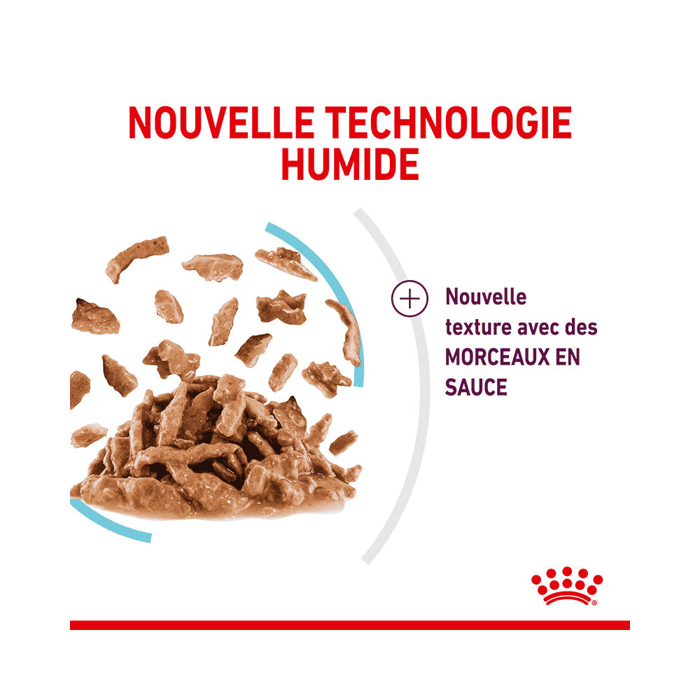 Sensory FEEL (Bouchées en sauce) Sachets