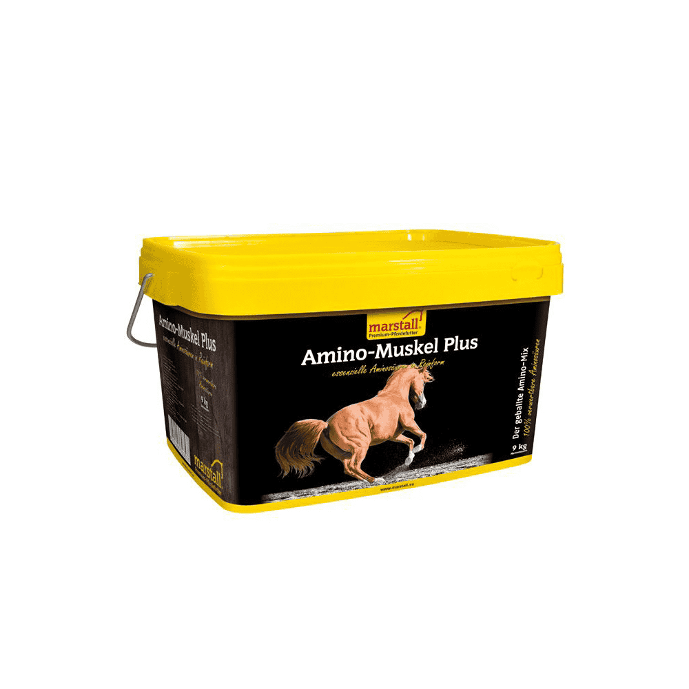 Amino Muskel Plus - Amino Muscle