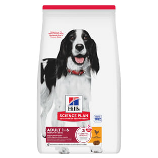 Canine Adult Medium Breed Chicken