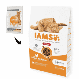 Adult Advanced Indoor mit Huhn