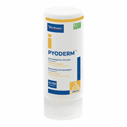 Pyoderm Shampoo