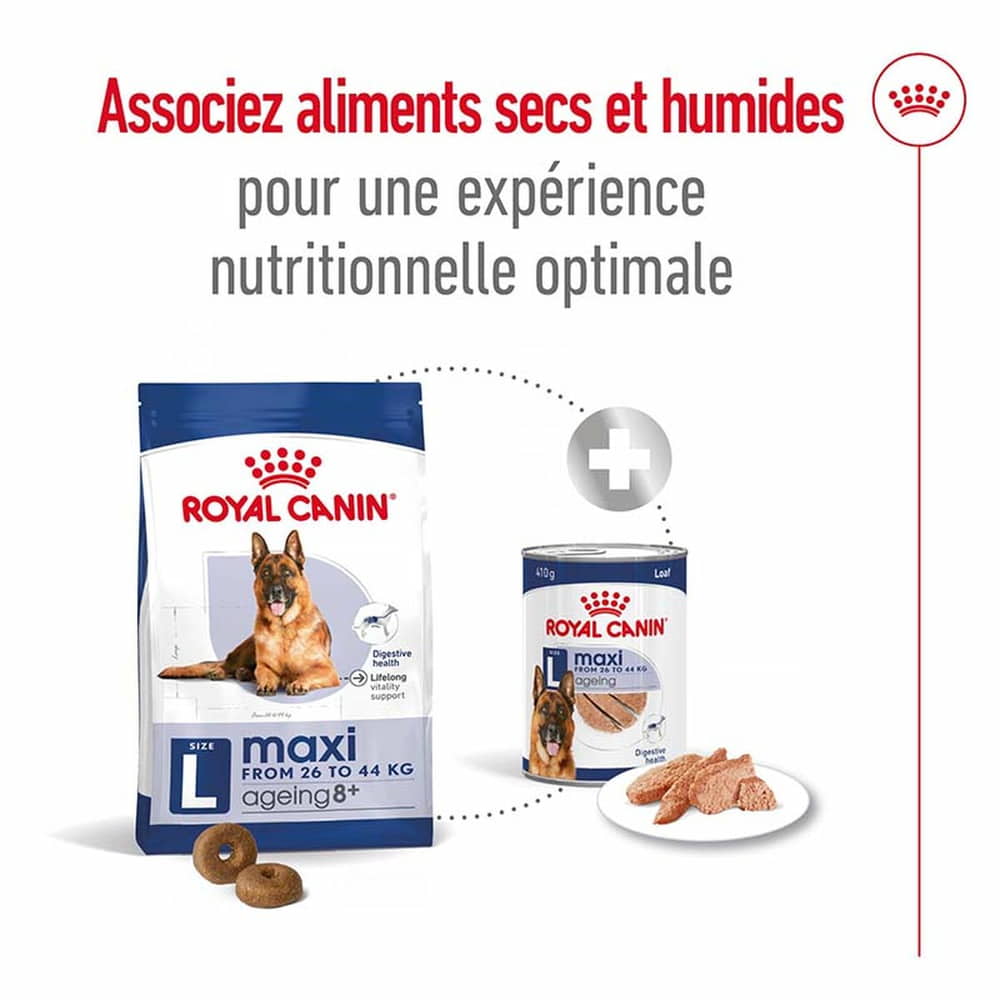 Maxi Adult Loaf - Boîte