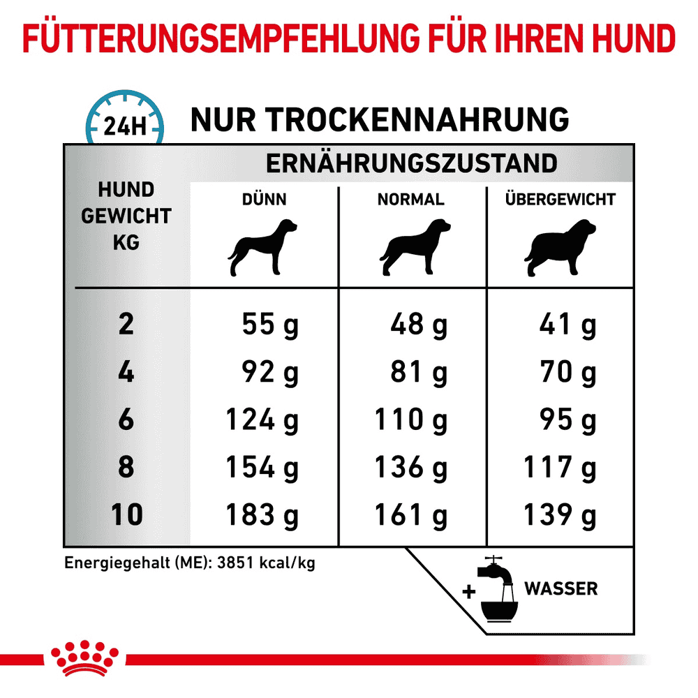 Anallergenic Small Dogs