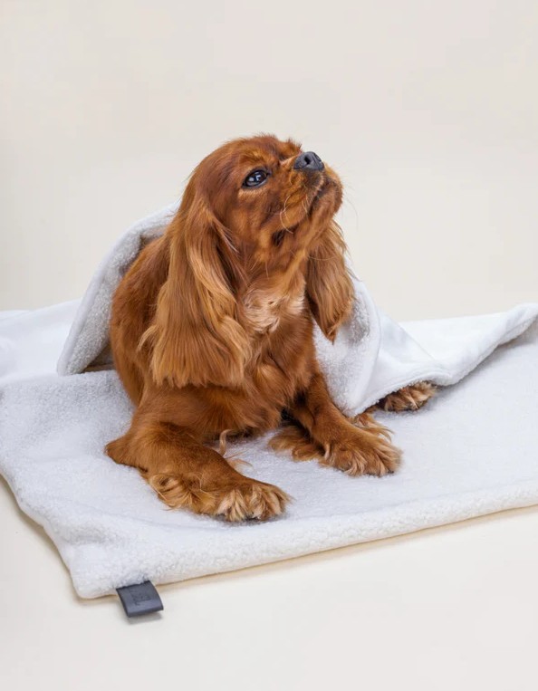Couverture pour animaux Calm Eco Bouclé