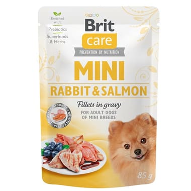 Care Mini Rabbit & Salmon