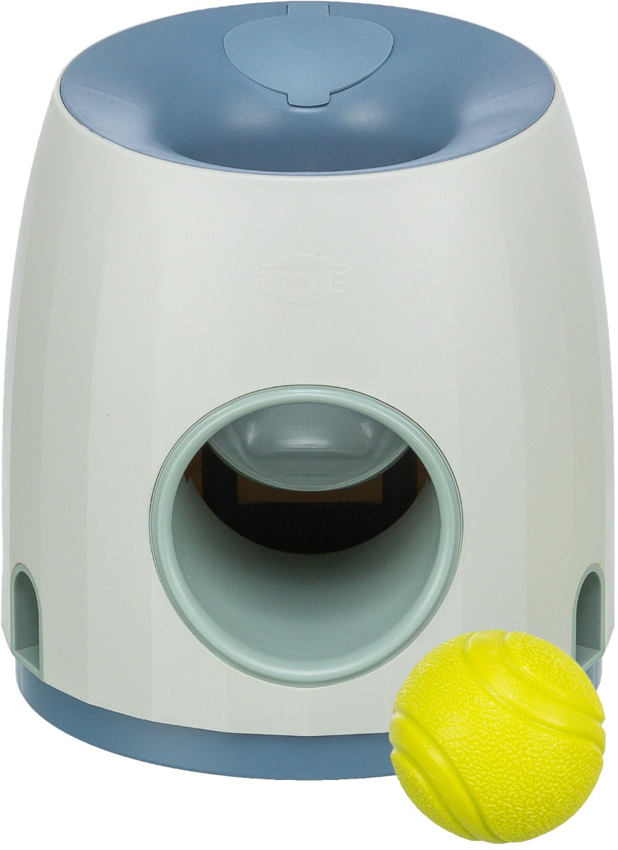 Dog Activity Ball & Treat