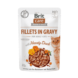 Care Cat - Fillets in Gravy with Hearty Duck
