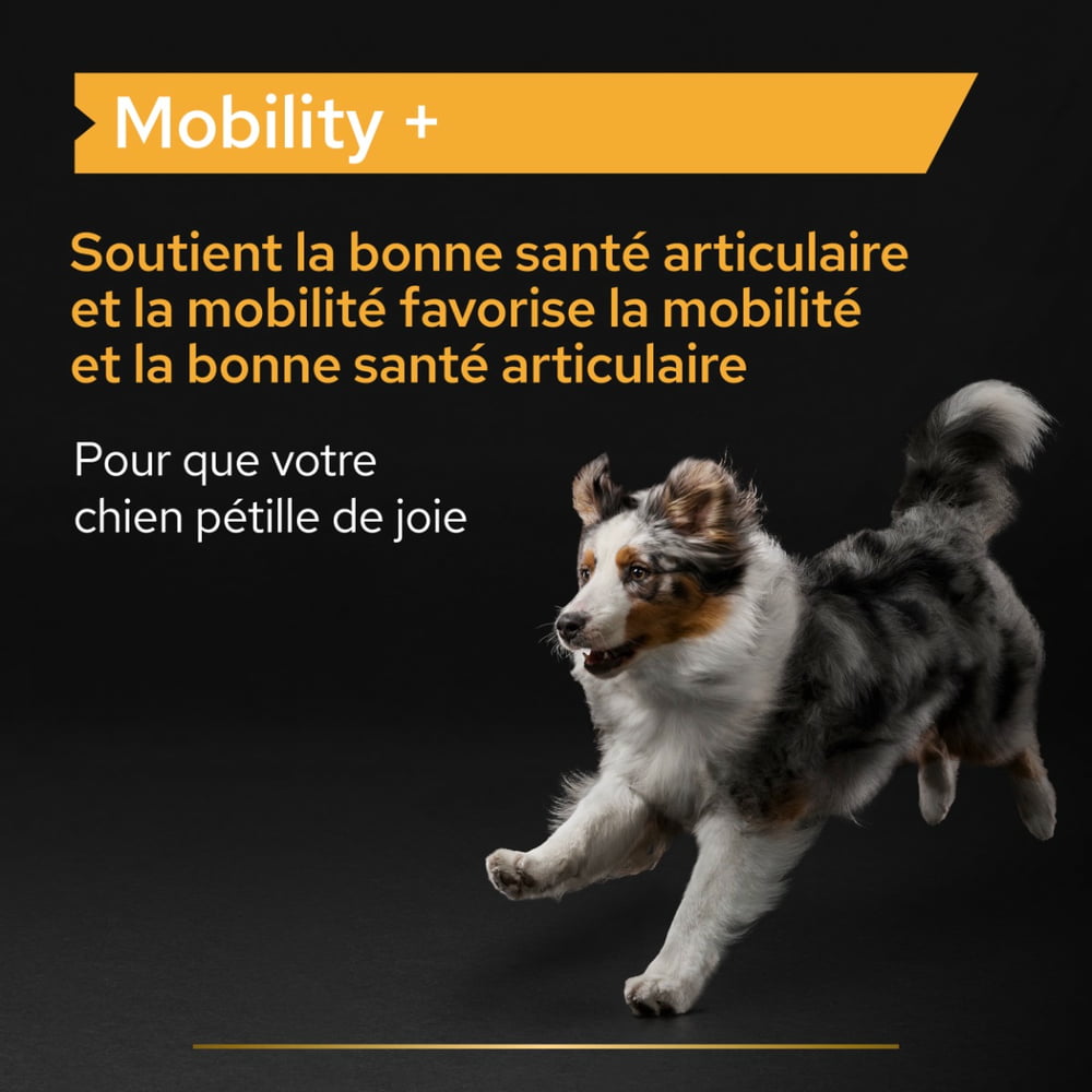 Dog Mobility +
