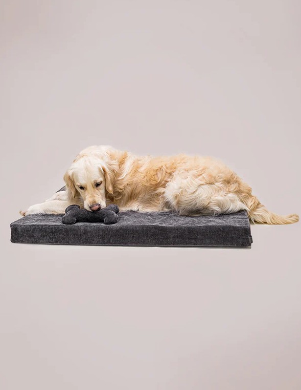 Matelas orthopédique pour chiens Chill Charcoal