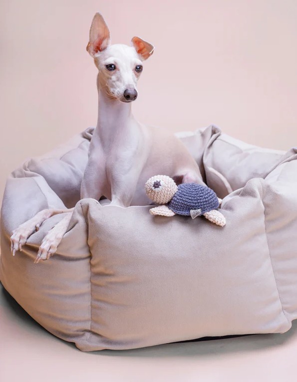 Lit pour chien Veludo Greige