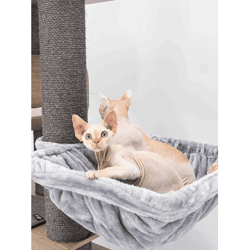 Arbre à chat Virgo 200