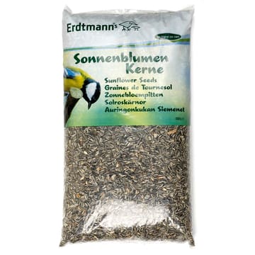 Sonnenblumenkerne