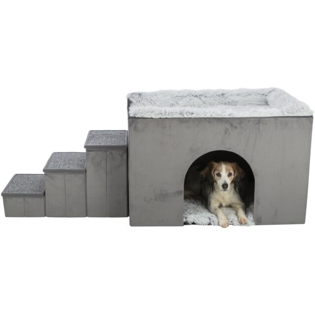 Höhle Harvey mit Treppe, grau