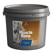 Muscle Bone
