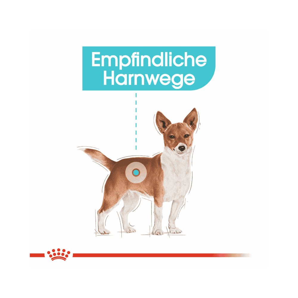 Urinary Care Mini
