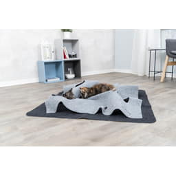 Cat Activity Adventure Carpet