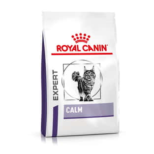 Calm Cat