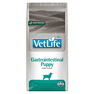 Canine Puppy Gastrointestinal