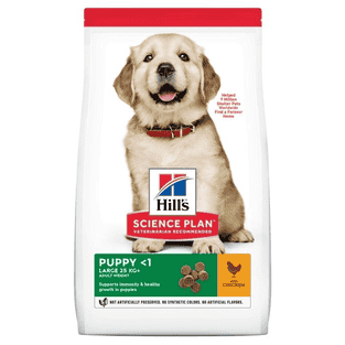Puppy Large Breed