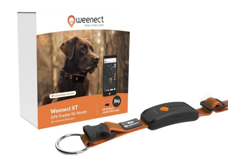 Traceur GPS pour chiens XT