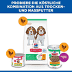 Puppy All Breeds - Dose