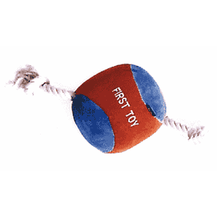 Puppy Spielzeug Ball