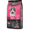 Adult Light Geflügel Cat