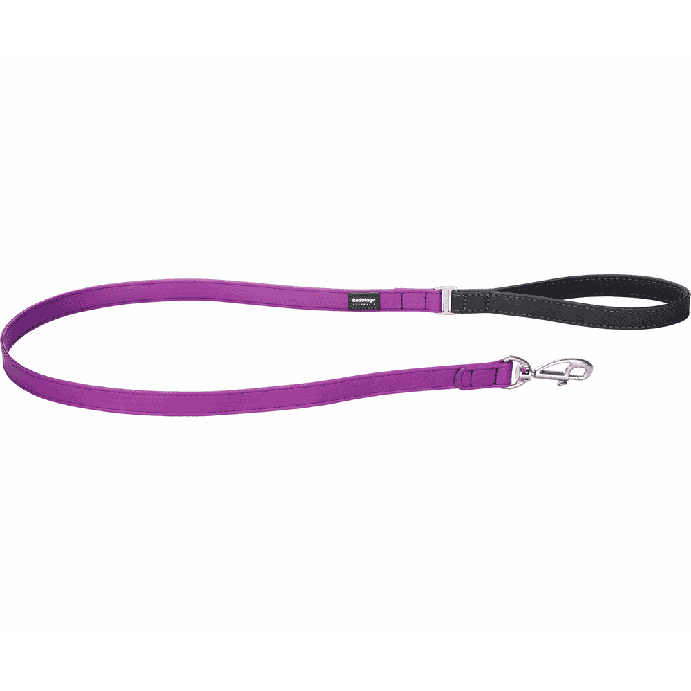 Elegant Purple leashes