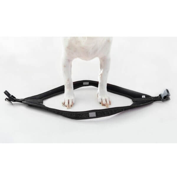 Dog harness Fast-Fit black