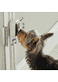 Talking Pet Sonnette de porte  pour chiens