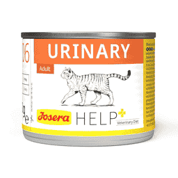 Urinary Cat Wet