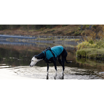 Pull en laine polaire Trail Quest Teal