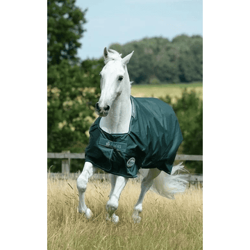 Turnout rug Green-Line Turnout 100g - green