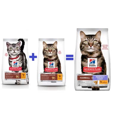 Feline Hairball Indoor Mature Adult 7+