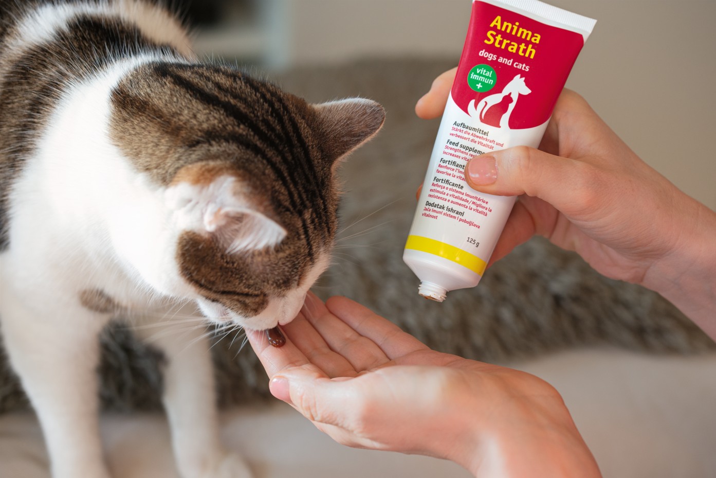 Anima Strath Paste