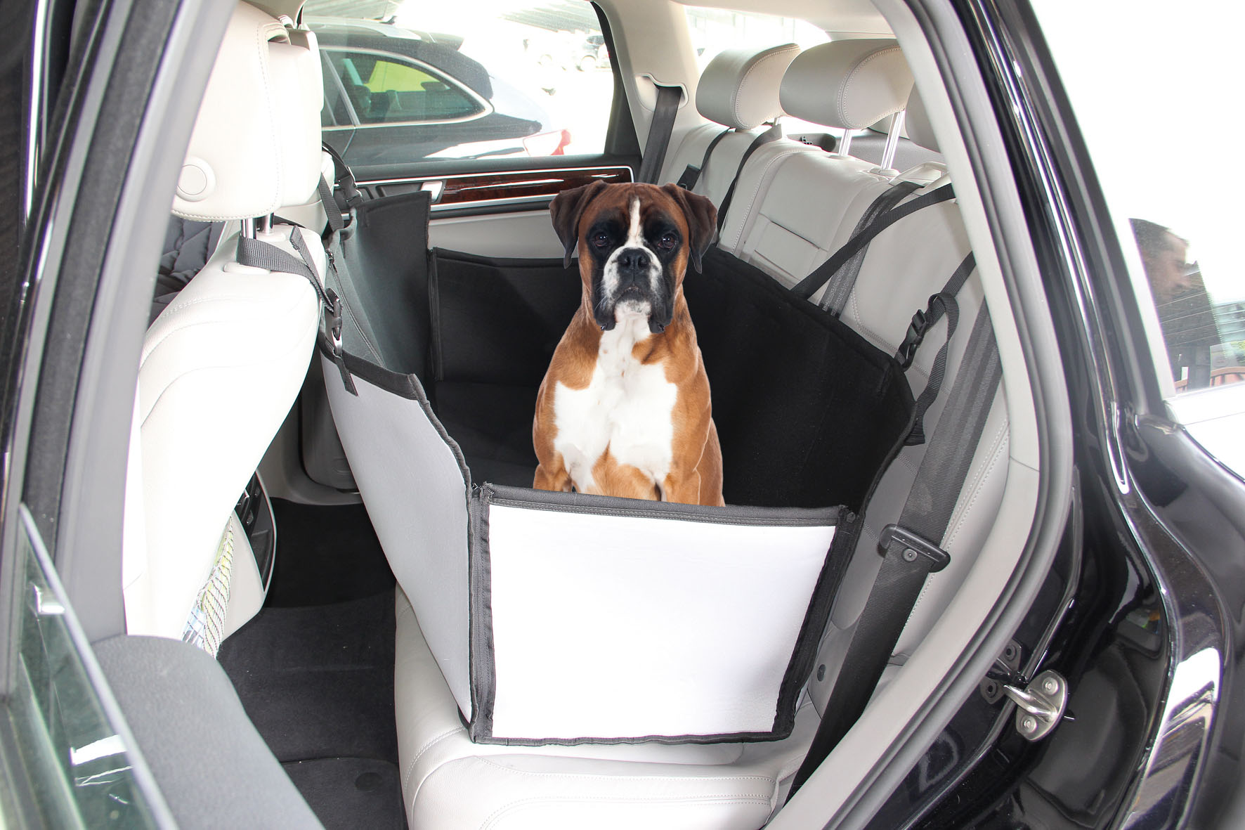 Autoschondecke Carside