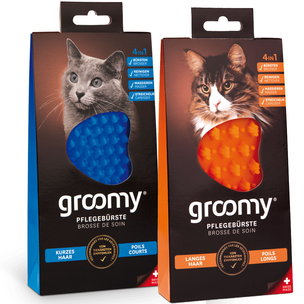 Brosse de soins pour chats