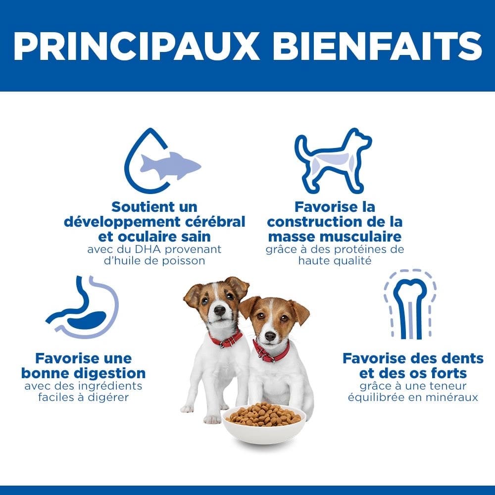 Puppy Small & Mini Breed