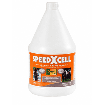 SpeedXcell