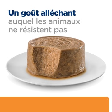 Feline k/d Kidney Care Mousse au poulet