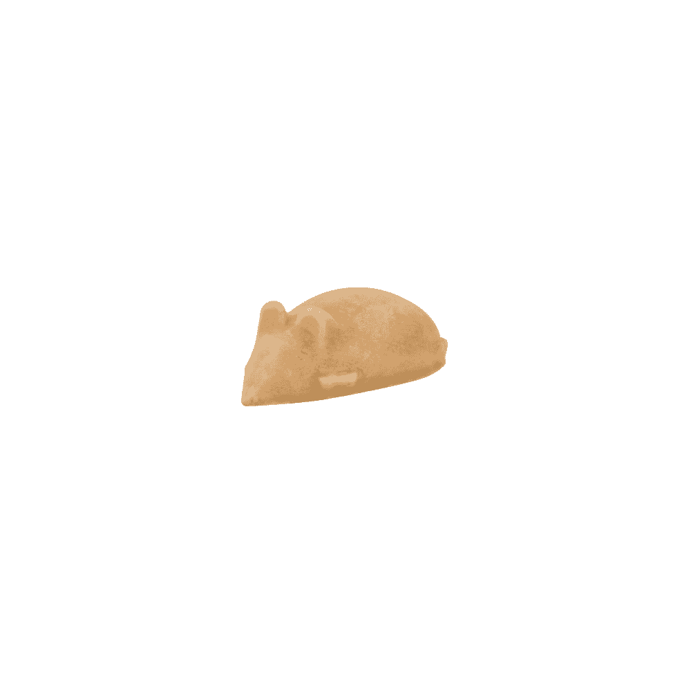 Mäusle (souris)