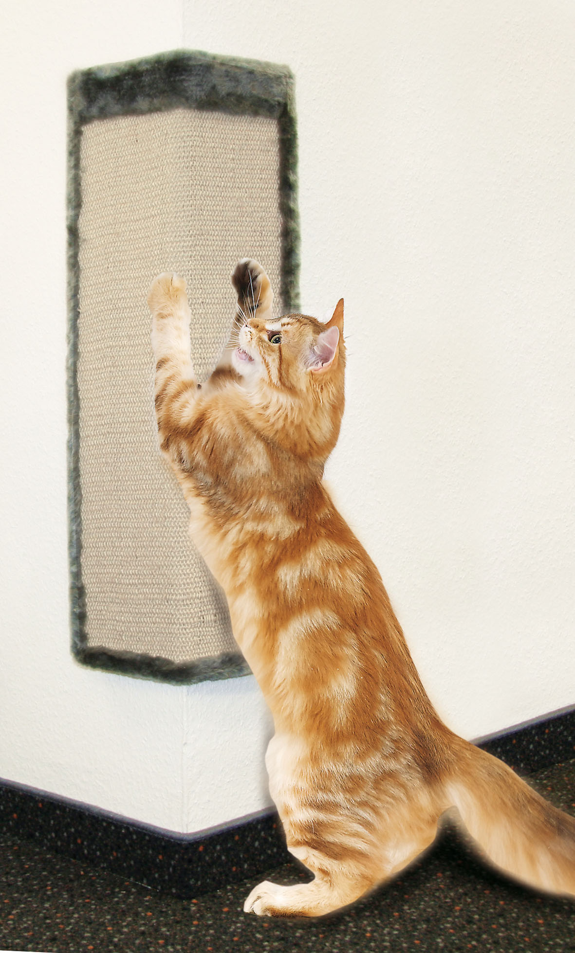 Corner protectors for scratching