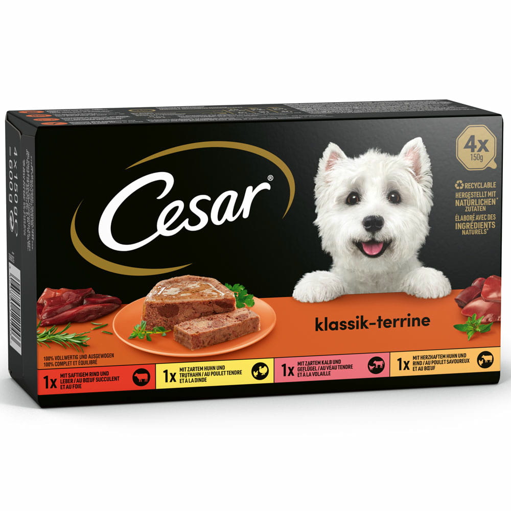 Klassiker in Terrine