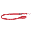 Leashes Design Swiss Cross