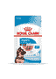 Maxi Puppy - sachets