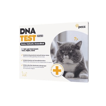 DNA Test for Cat Breed Identification