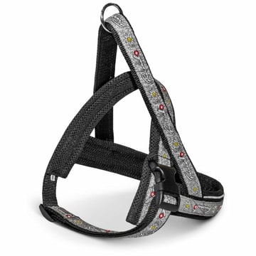 Geschirr Nordic Swiss grau