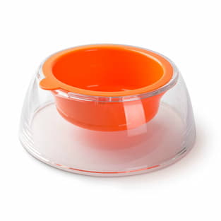 Dog bowl Color Pop Bowl orange