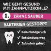 Zahnputzkohle Katze